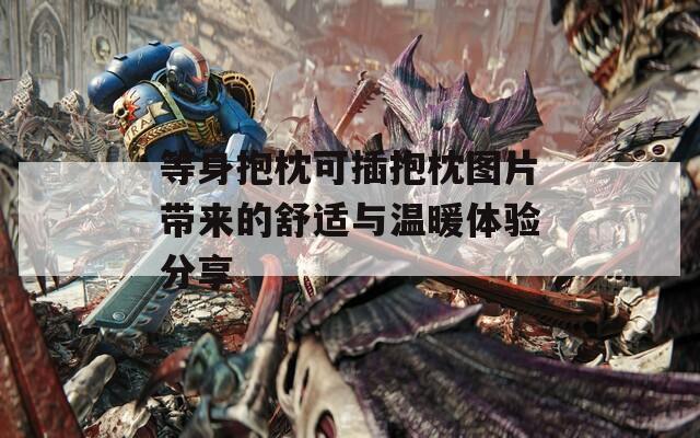 等身抱枕可插抱枕图片带来的舒适与温暖体验分享