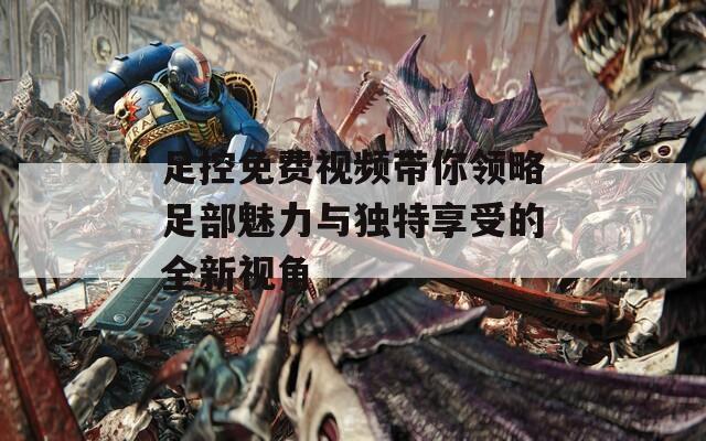 足控免费视频带你领略足部魅力与独特享受的全新视角