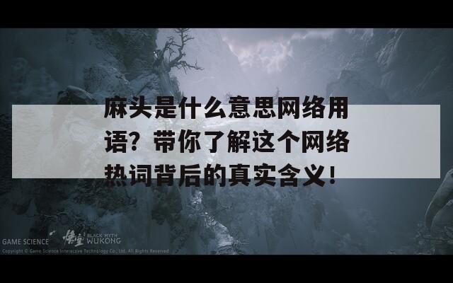 麻头是什么意思网络用语？带你了解这个网络热词背后的真实含义！