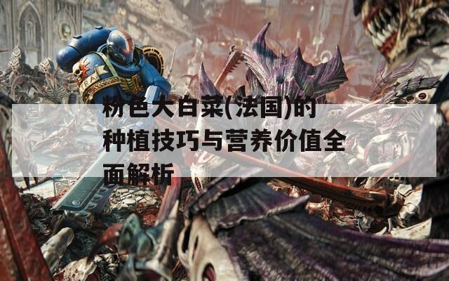 粉色大白菜(法国)的种植技巧与营养价值全面解析
