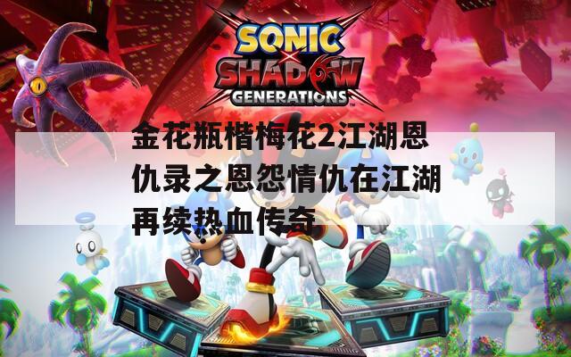 金花瓶楷梅花2江湖恩仇录之恩怨情仇在江湖再续热血传奇