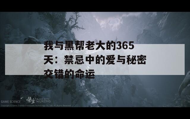 我与黑帮老大的365天：禁忌中的爱与秘密交错的命运