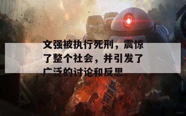 文强被执行死刑，震惊了整个社会，并引发了广泛的讨论和反思。
