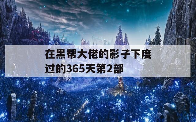 在黑帮大佬的影子下度过的365天第2部