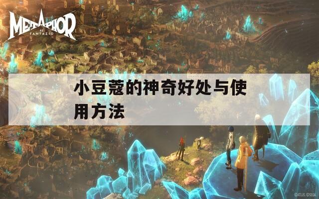 小豆蔻的神奇好处与使用方法
