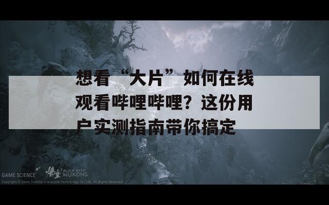 想看“大片”如何在线观看哔哩哔哩？这份用户实测指南带你搞定