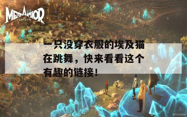 一只没穿衣服的埃及猫在跳舞，快来看看这个有趣的链接！