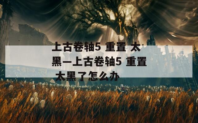 上古卷轴5 重置 太黑—上古卷轴5 重置 太黑了怎么办