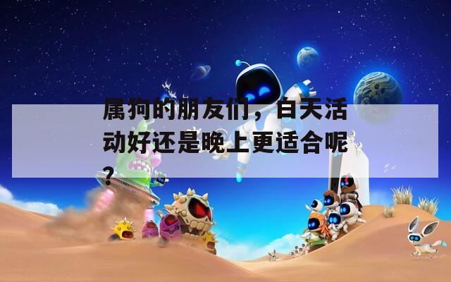 属狗的朋友们，白天活动好还是晚上更适合呢？