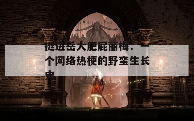 挺进岳大肥屁丽梅：一个网络热梗的野蛮生长史