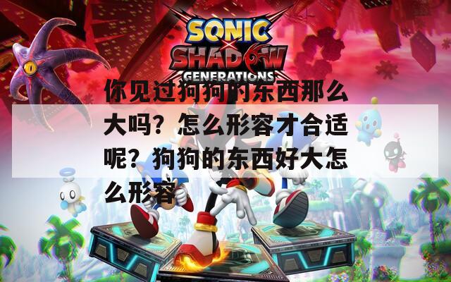 你见过狗狗的东西那么大吗？怎么形容才合适呢？狗狗的东西好大怎么形容