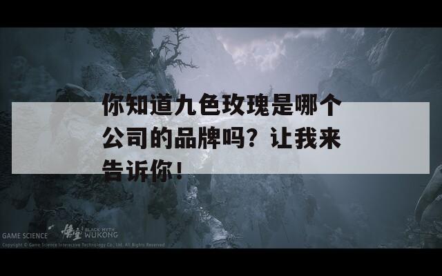 你知道九色玫瑰是哪个公司的品牌吗？让我来告诉你！
