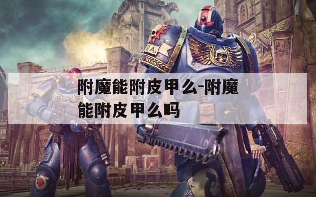 附魔能附皮甲么-附魔能附皮甲么吗