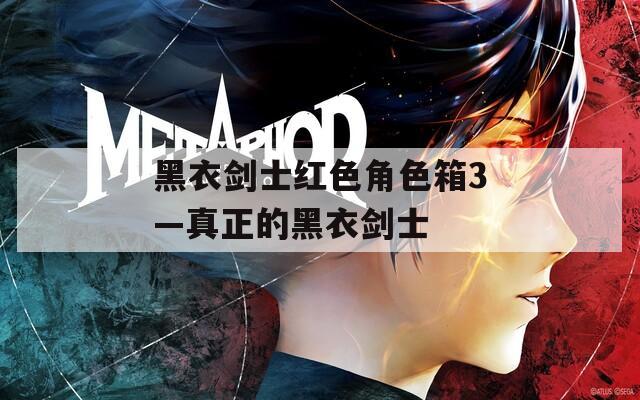 黑衣剑士红色角色箱3—真正的黑衣剑士